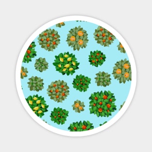 Citrus Trees Pattern Magnet